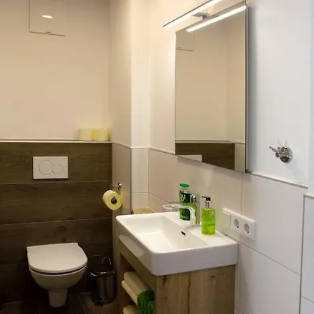 Apartamento Alp-in Kaprun, Including Summer Card
