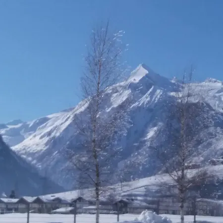 Alp-in